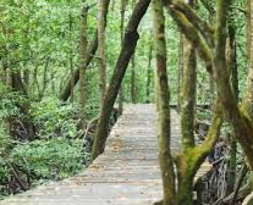 Wisata Kalimantan Utara